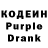 Codein Purple Drank Bakbergen Arystan