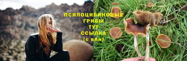 амф Нефтегорск