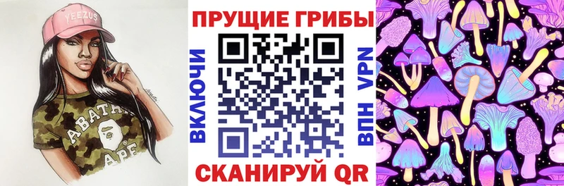 Псилоцибиновые грибы мухоморы  купить   Юрюзань 